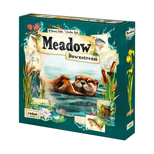 Meadow: Downstream 3 Meadow: Downstream