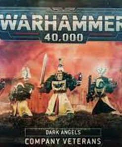 Dark Angels: Company Veterans