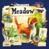 Meadow -Board Game Shop image 60610.1649701921