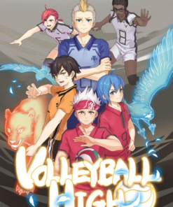Volleyball High
