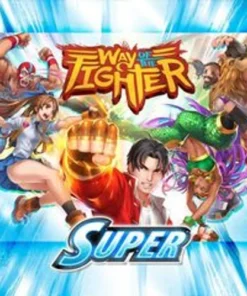 Way Of The Fighter: Super